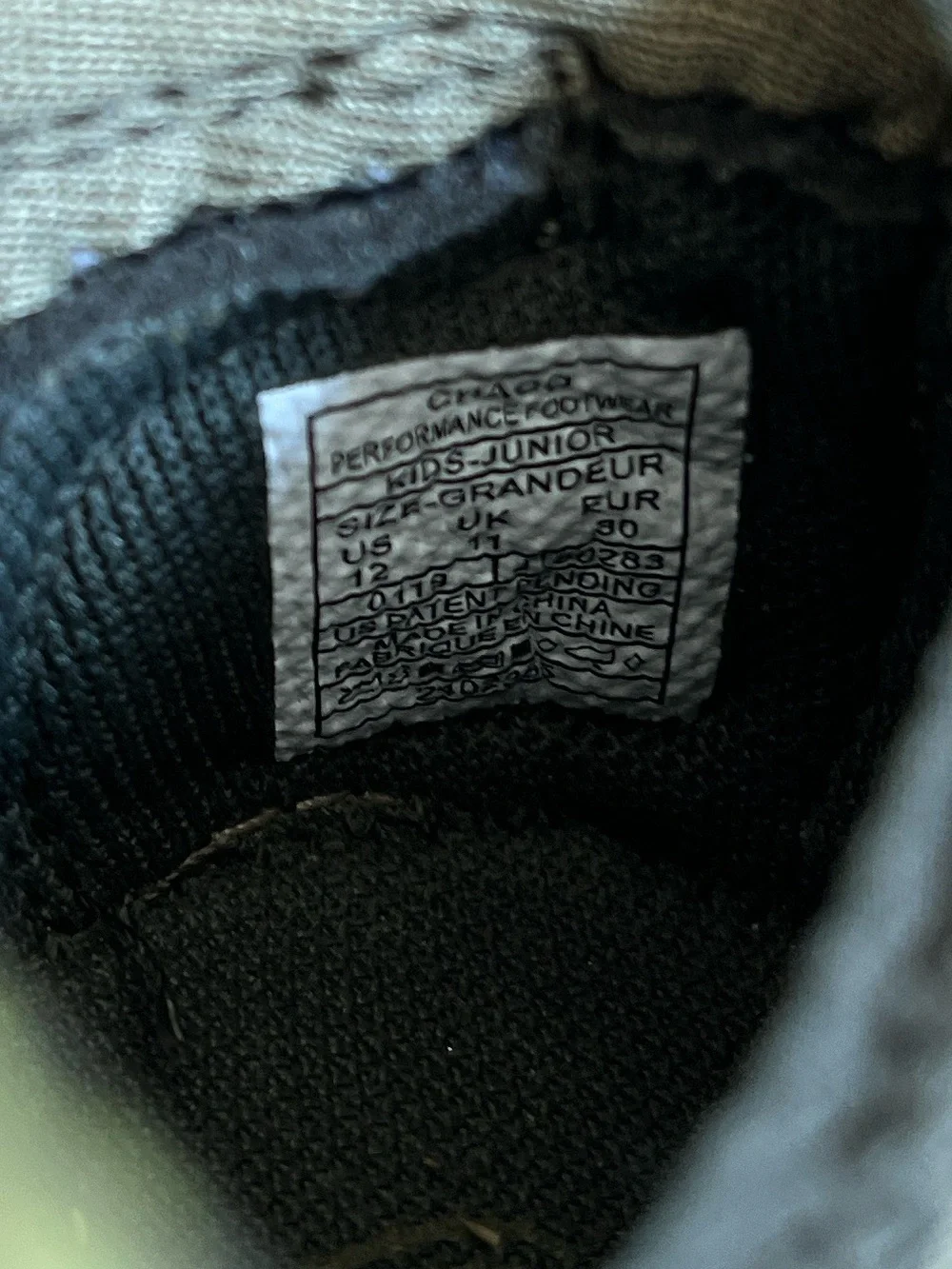 Chaco Odyssey sandals